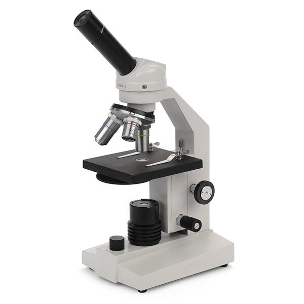 Lab Gallery